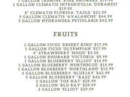 The Salmonberry menu