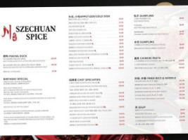 Szechuan Spice menu