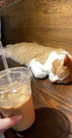 River Kitty Cat Cafe food