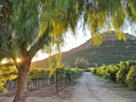 Rancho Guejito Vineyard menu