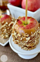 Friends Sushi On Rush food