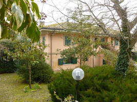 D' Caribbean Curry Spot Cuisine outside