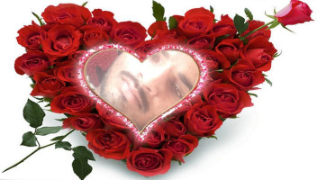 Blue Heron Bistro. drink