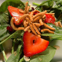 The Salad Junkie food
