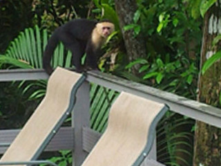 Globe Indian Cuisine