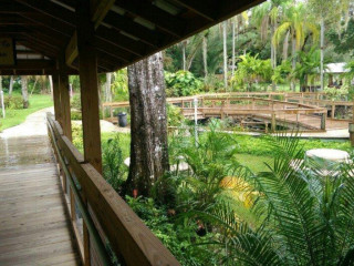 The Hut At The Peace Tropical Gardens