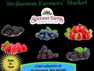 Steilacoom Farmers Market