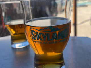 Skyland Ale Works