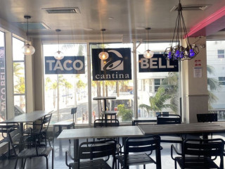Taco Bell Cantina Ft Lauderdale Beach