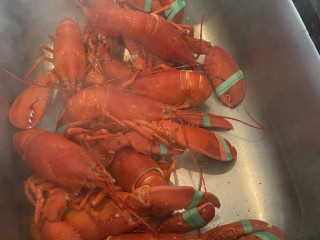 Turner's Lobster's