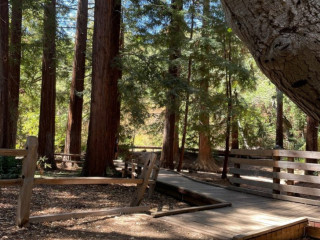 Redwood Grove Nature Preserve