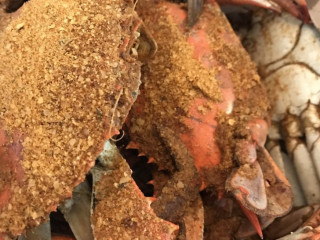 Hill Seafood Crab Inc.