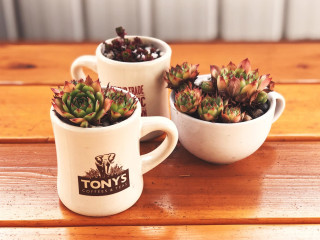 Tony's Coffee Roastery