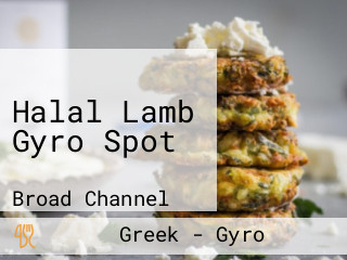 Halal Lamb Gyro Spot