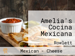 Amelia's Cocina Mexicana