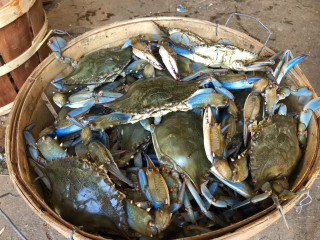 S S Produce Crab House