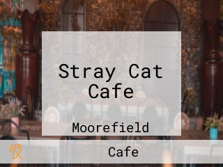 Stray Cat Cafe