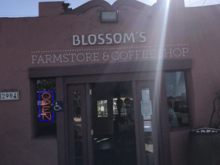 Blossoms Farm Store And Cafe