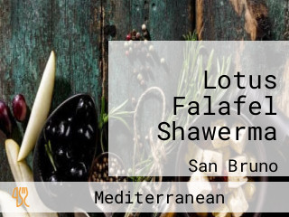 Lotus Falafel Shawerma