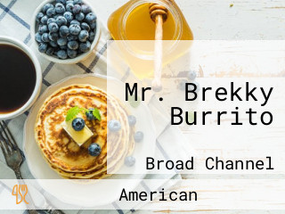 Mr. Brekky Burrito