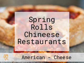 Spring Rolls Chineese Restaurants