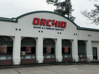 Orchid Sushi Chinese Buffet