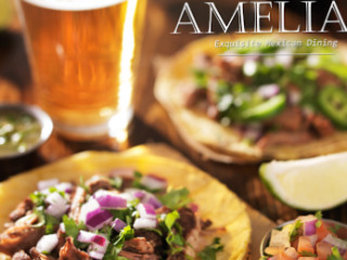 Amelia's Exquisite Mexican Dining