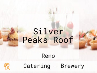 Silver Peaks Roof