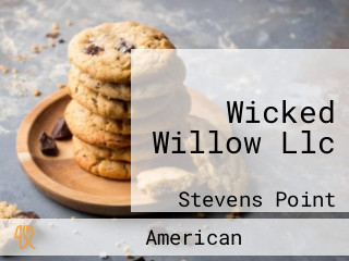 Wicked Willow Llc