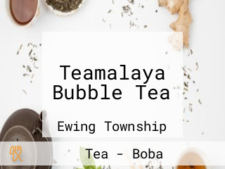 Teamalaya Bubble Tea