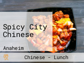 Spicy City Chinese