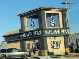 The Human Bean Fort Mohave, Camino Colorado