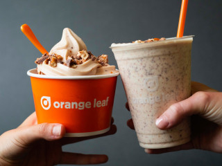 Orange Leaf Frozen Yogurt