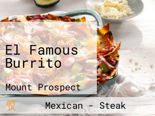 El Famous Burrito