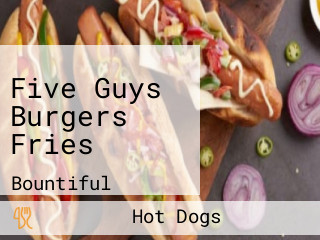 Five Guys Burgers Fries
