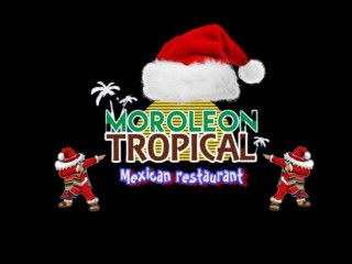 Moroleon Tropical