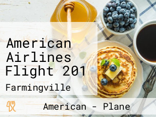 American Airlines Flight 201