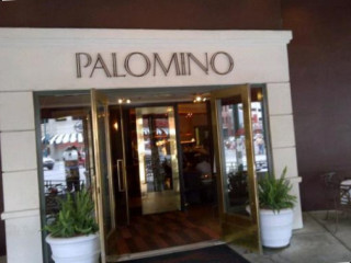 Palomino - Indianapolis