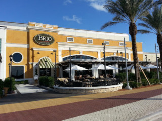 Brio Tuscan Grille Sarasota University Town Center