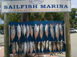 Sailfish Marina
