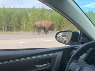 Lake Yellowstone Park