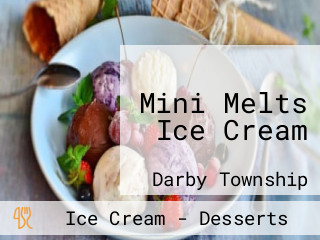 Mini Melts Ice Cream