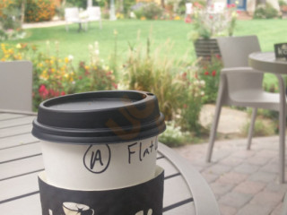 Palm Springs Koffi