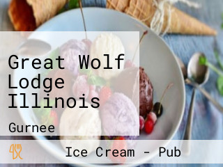 Great Wolf Lodge Illinois