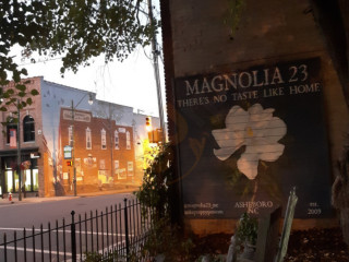 Magnolia 23