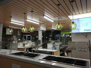 The Hub Usf Dining Services