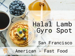 Halal Lamb Gyro Spot