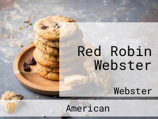 Red Robin Webster