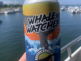 Hyannis Whale Watch Cruise