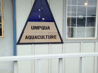 Umpqua Triangle Oysters